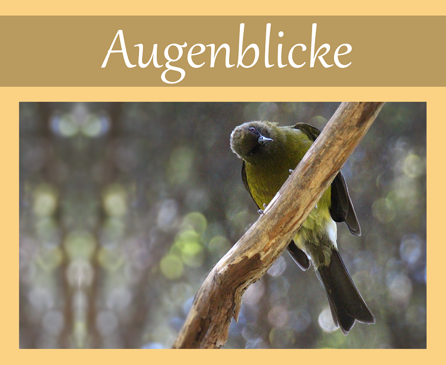 Augenblicke